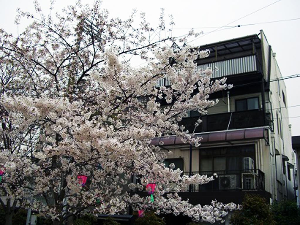 W.K Inn Osaka Esterno foto